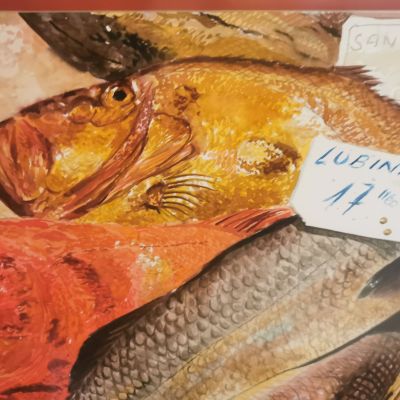 aquarel·la Cristòfol Almirall